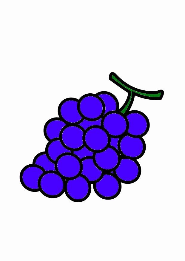 Imagen uvas