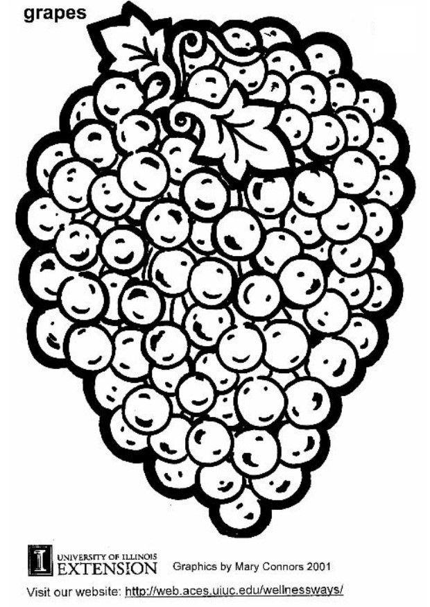 uvas Dibujo para colorear uvas