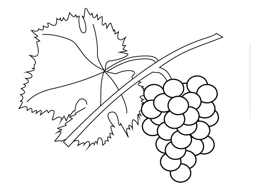 uvas en rama Dibujo para colorear uvas en rama