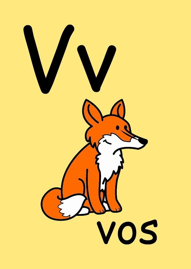 v Imagen v