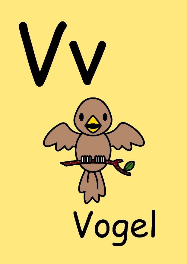 v Imagen v