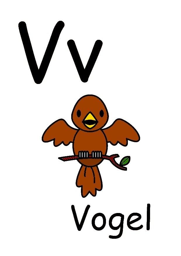 v Imagen v
