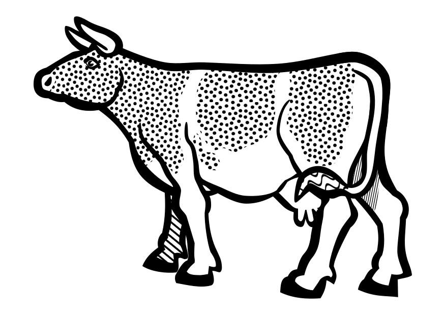 vaca Dibujo para colorear vaca