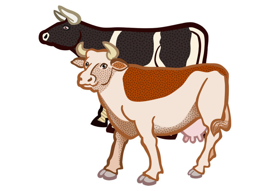 vacas2 Imagen vacas2