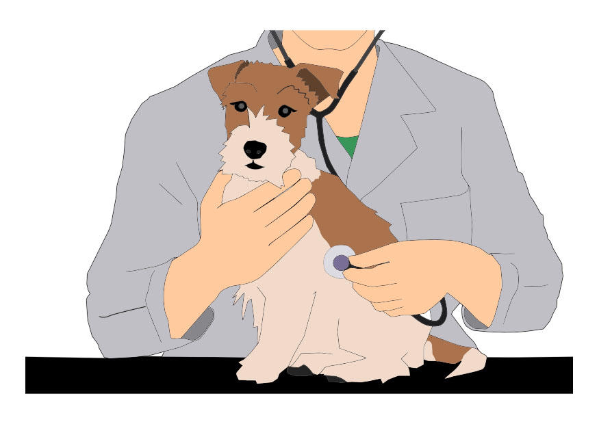 Imagen veterinario