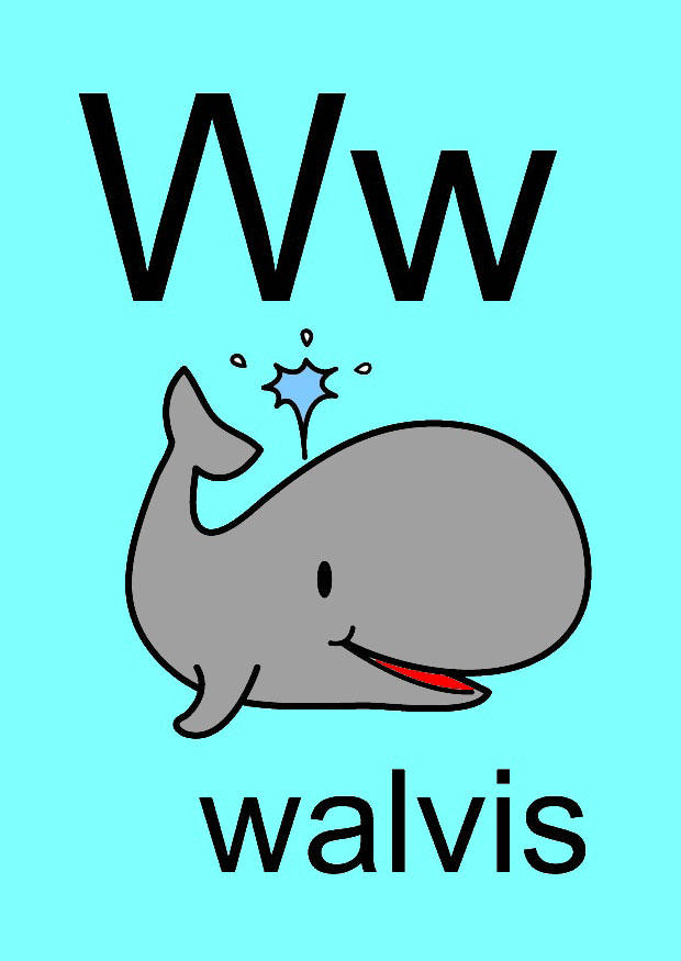 w Imagen w