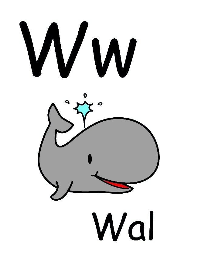 w Imagen w