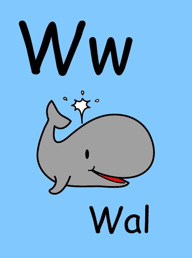 w Imagen w