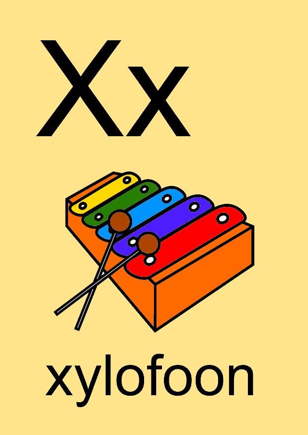x Imagen x