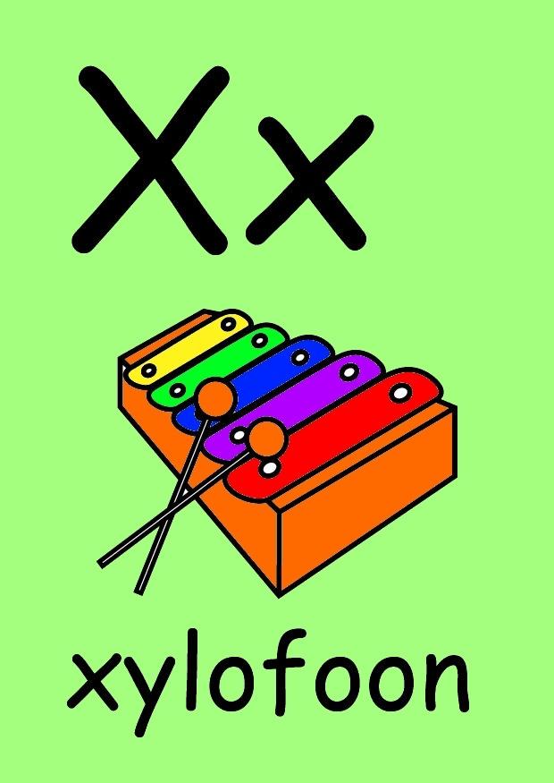 x Imagen x