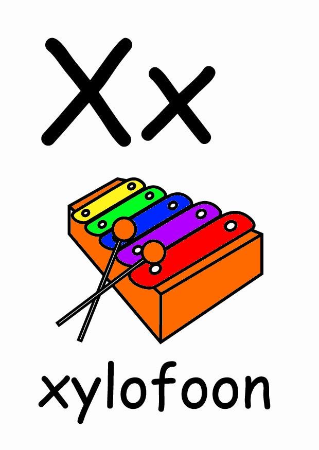 x Imagen x