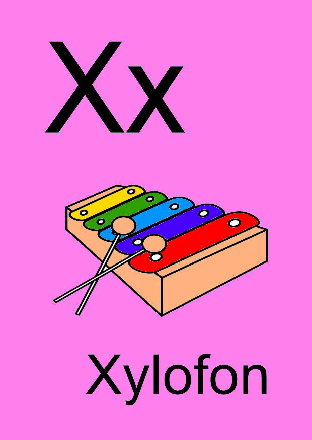 x Imagen x