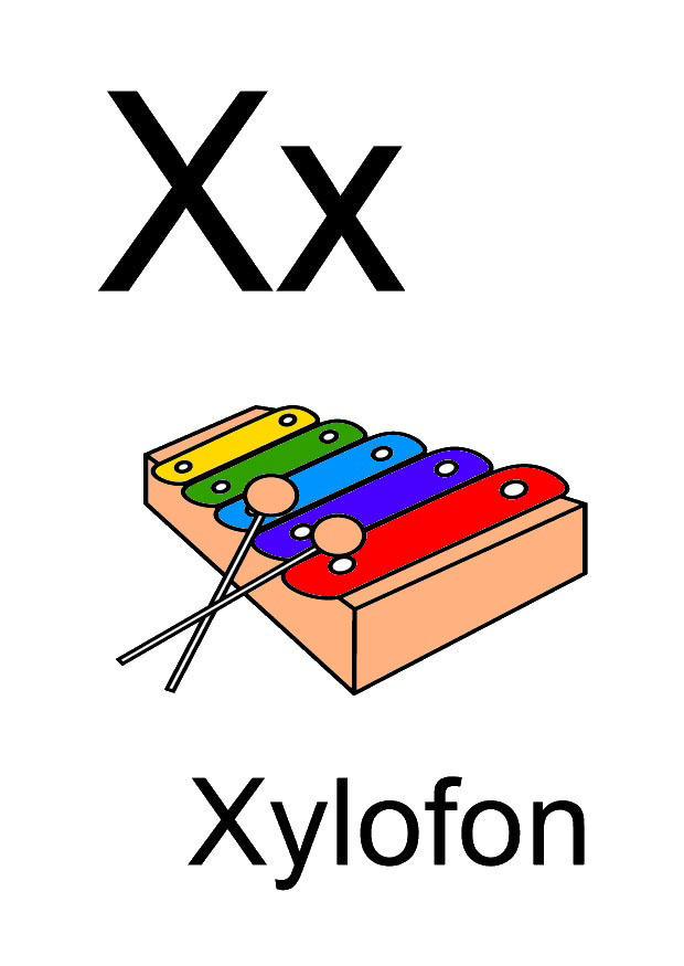 x Imagen x