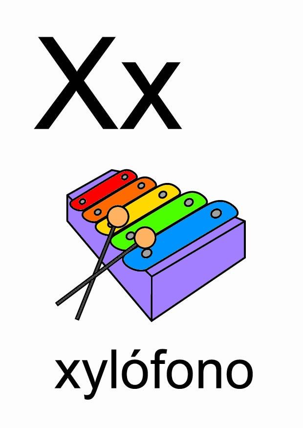 x Imagen x