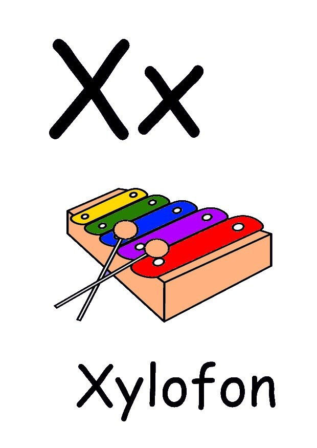 x Imagen x