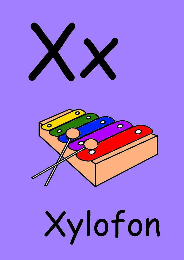 x Imagen x