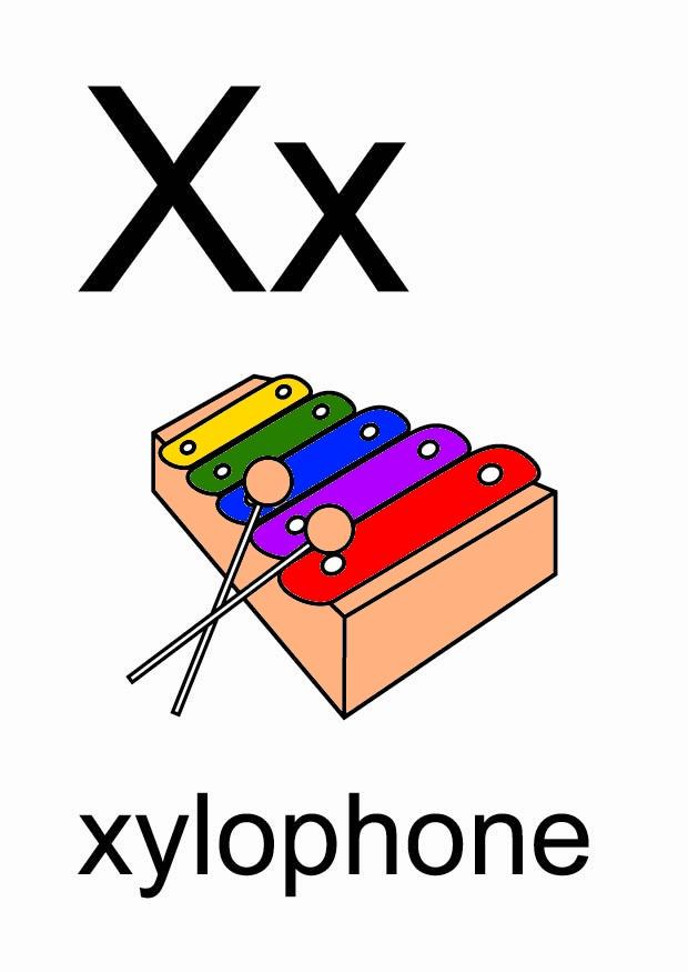 x Imagen x