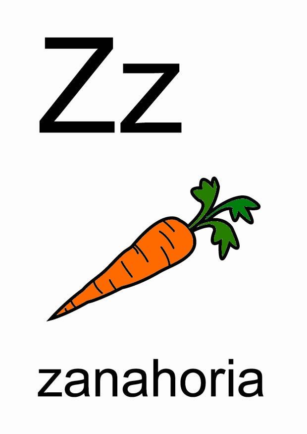 z Imagen z
