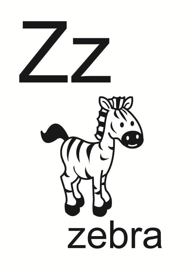 z Imagen z