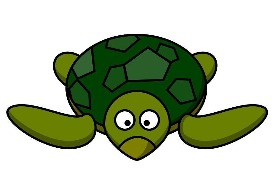 z1- tortuga Imagen z1- tortuga