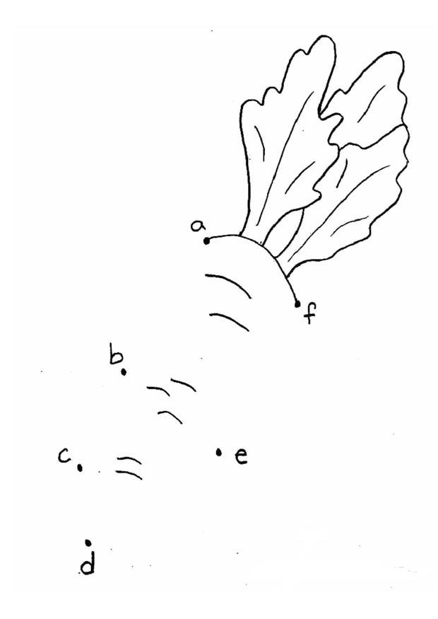 zanahoria - letras Dibujo para colorear zanahoria - letras